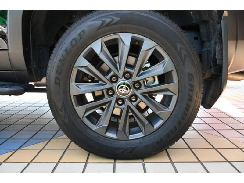 LAND CRUISER 250