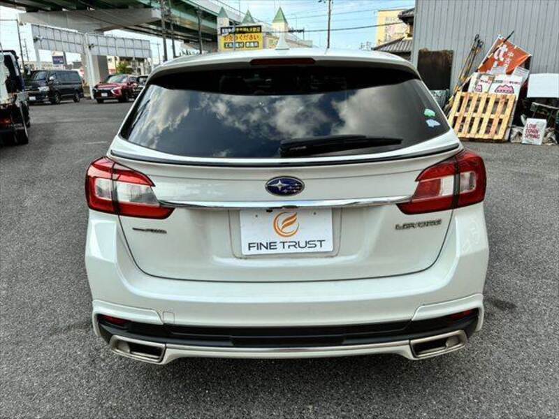LEVORG