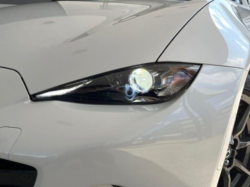 ROADSTER