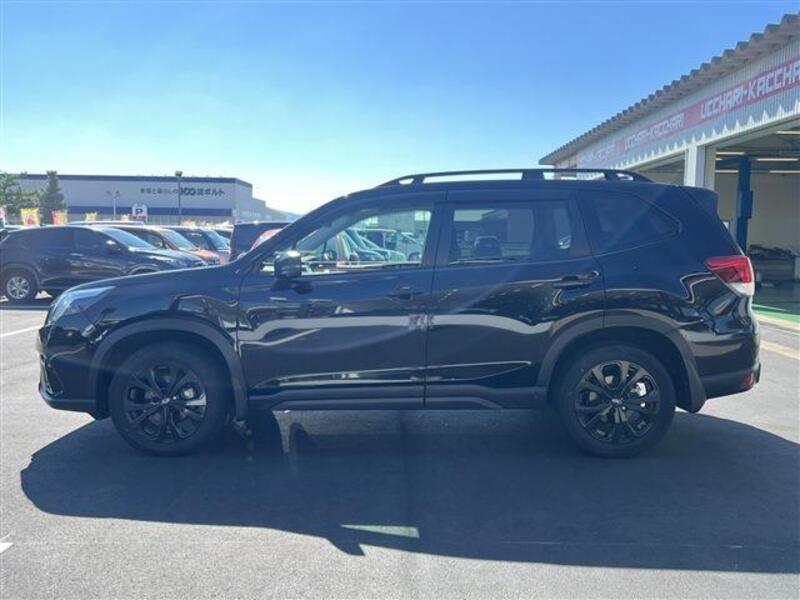 FORESTER