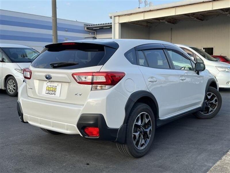XV