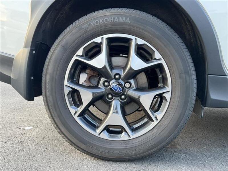 XV