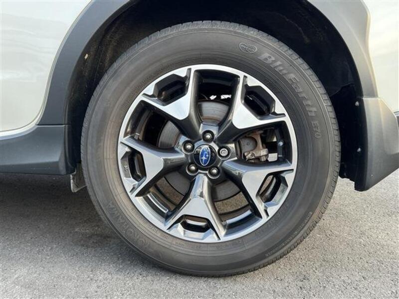 XV