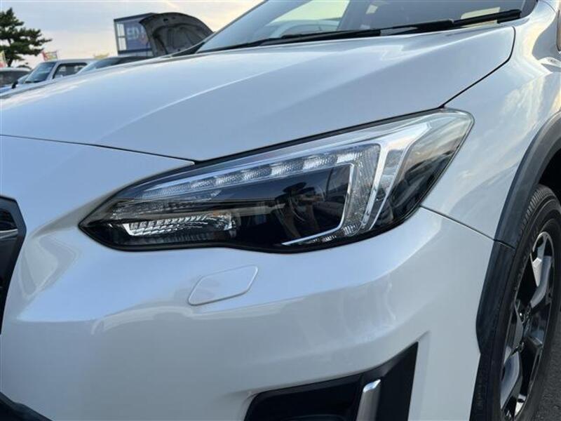 XV