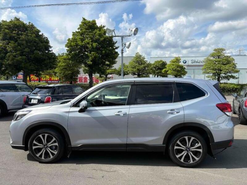 FORESTER