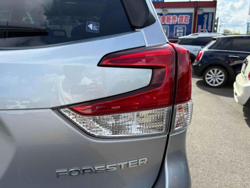 FORESTER