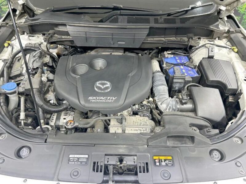 CX-8