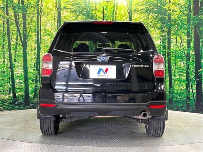 FORESTER