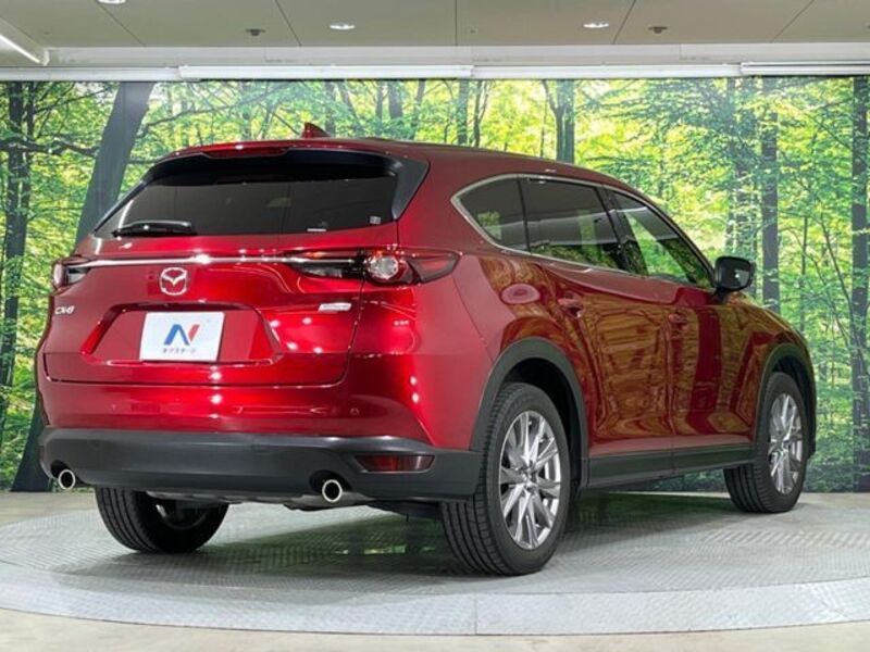 CX-8