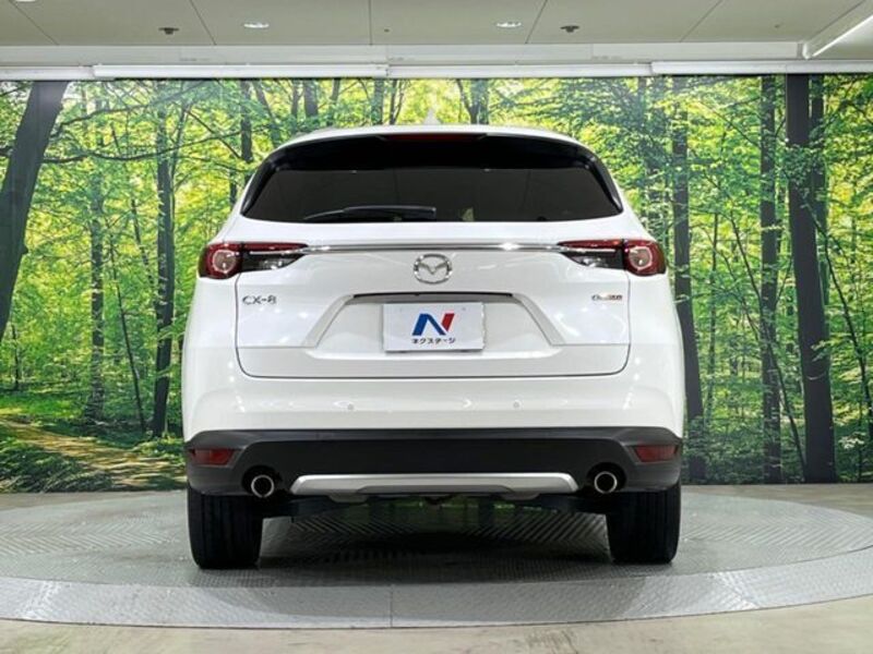 CX-8