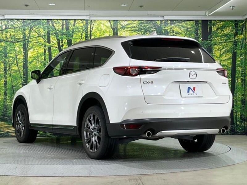 CX-8
