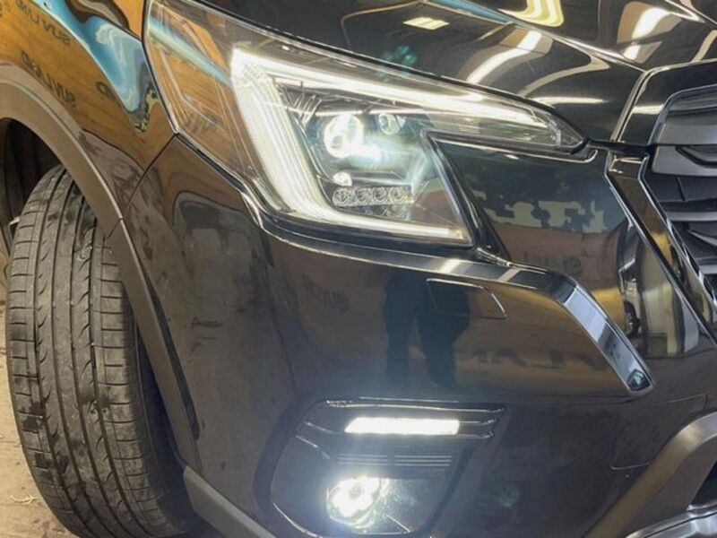 FORESTER