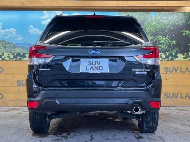 FORESTER