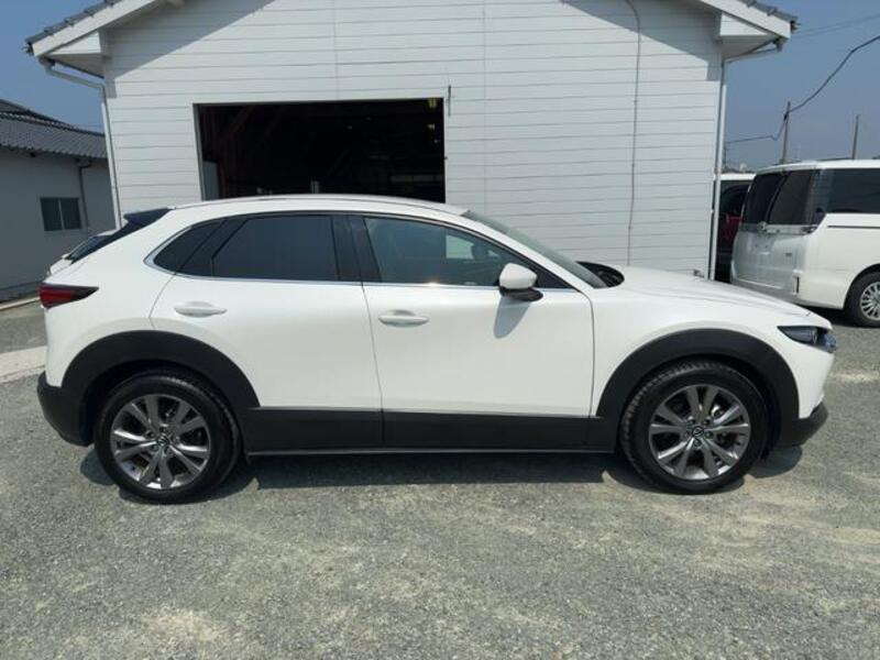 CX-30
