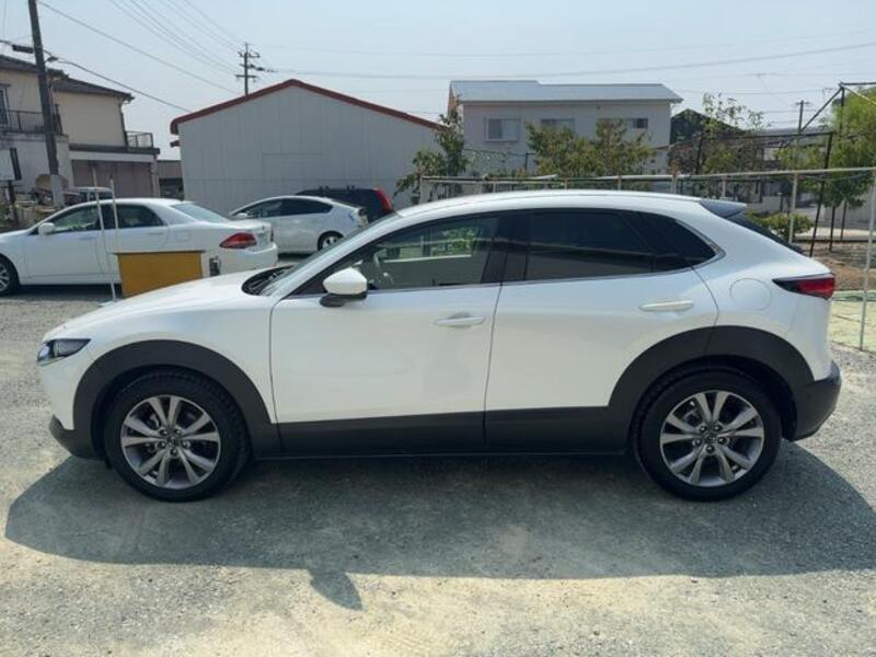 CX-30