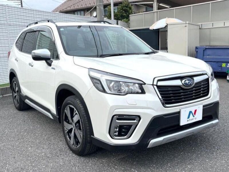 FORESTER