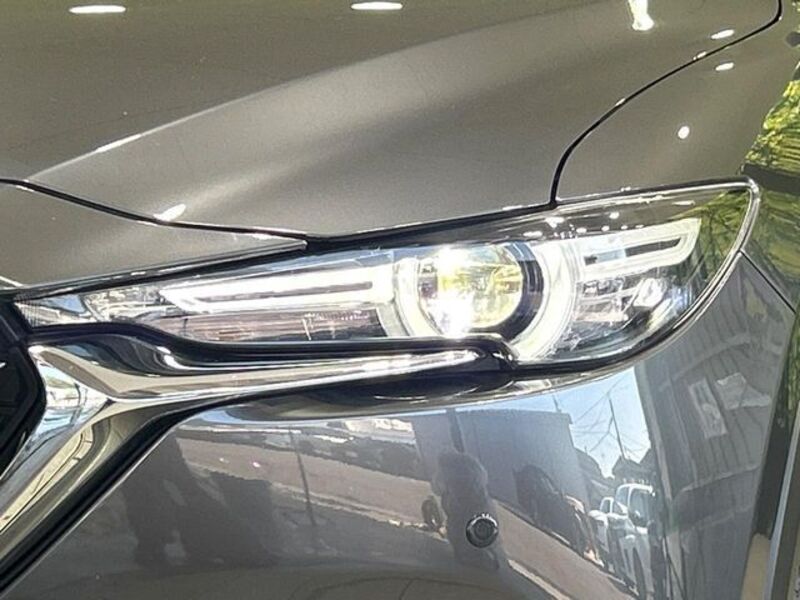 CX-8