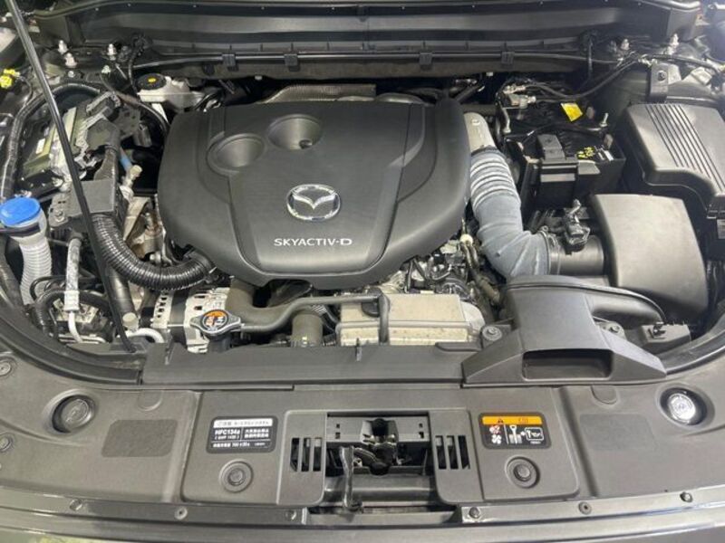 CX-8
