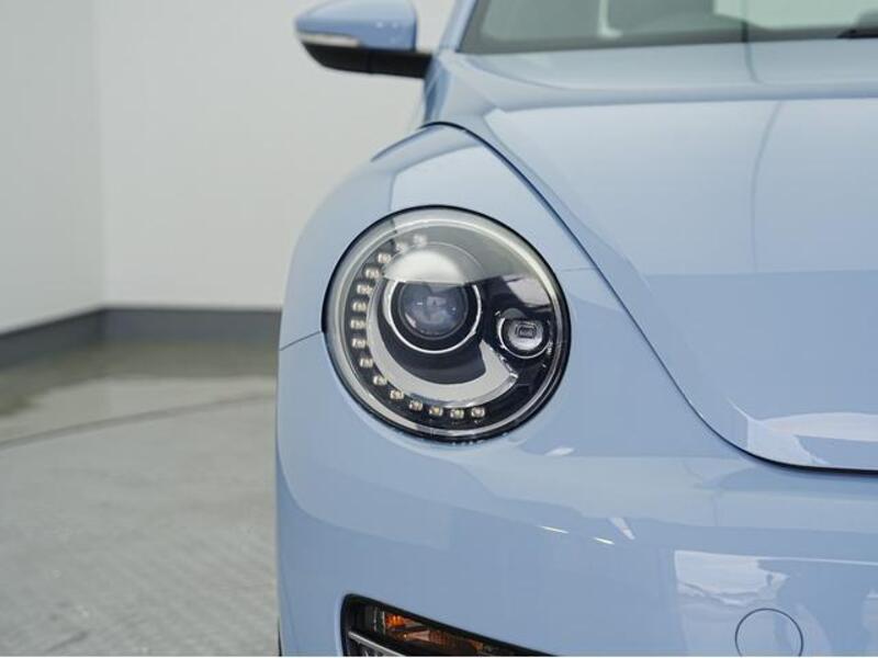 THE BEETLE