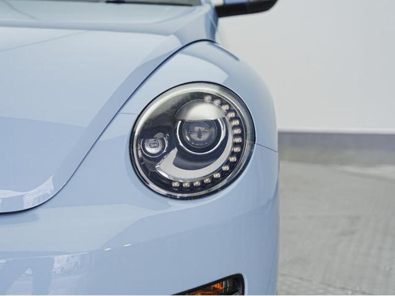 THE BEETLE