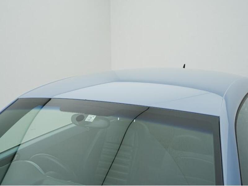 THE BEETLE