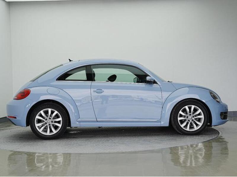 THE BEETLE