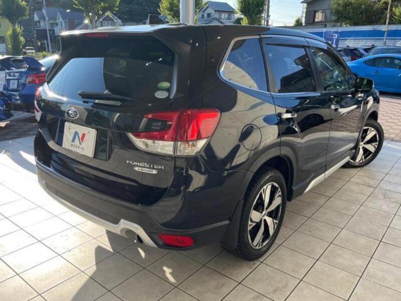 FORESTER