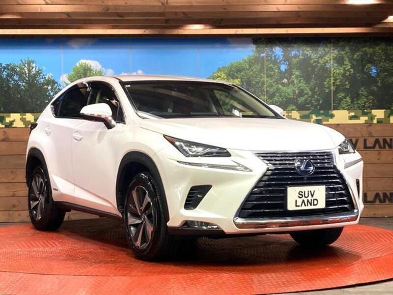 NX