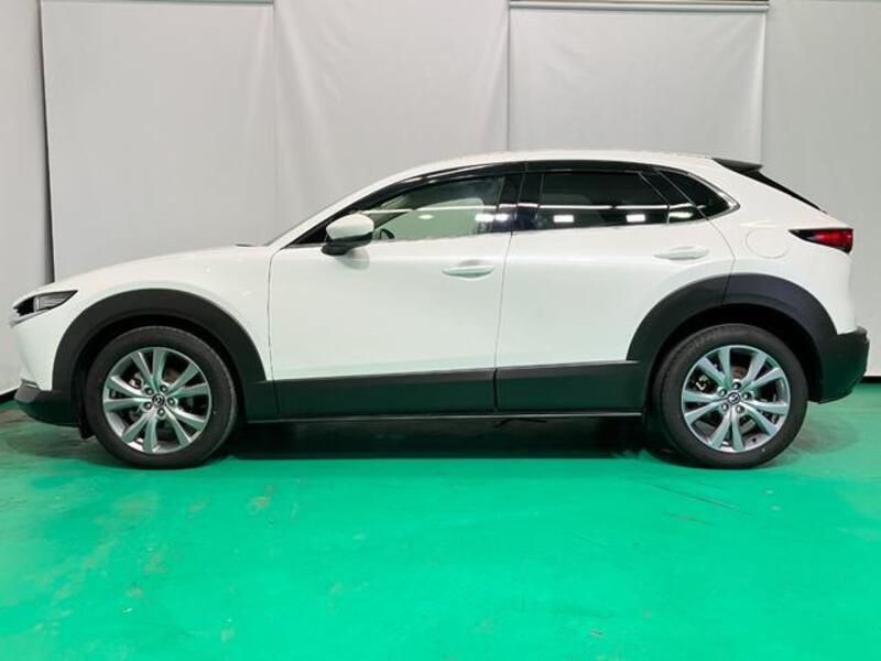 CX-30