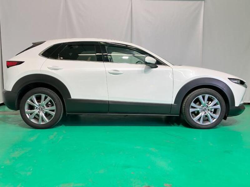 CX-30