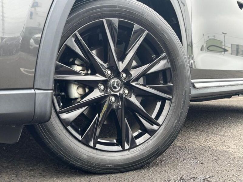 CX-8