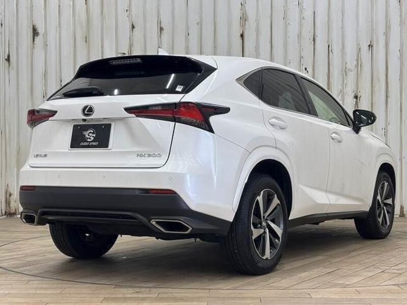 NX