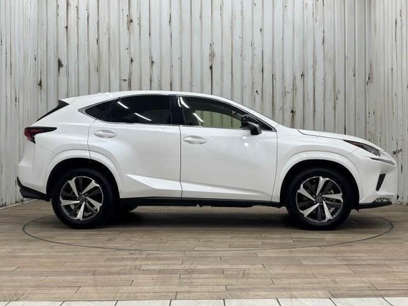 NX