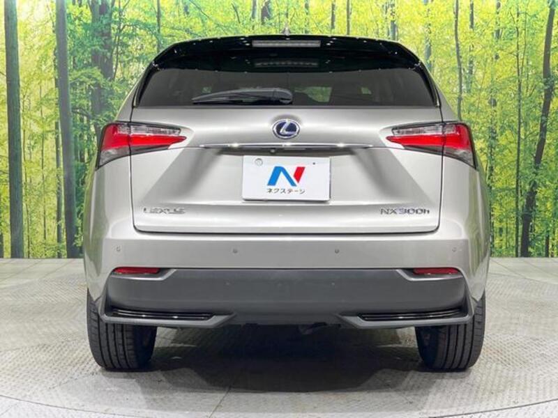 NX