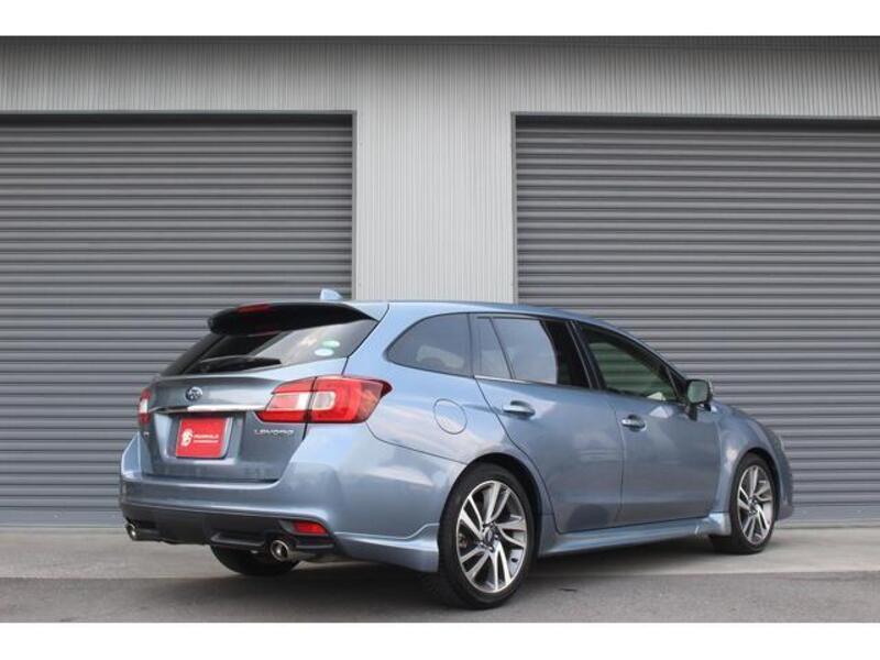 LEVORG