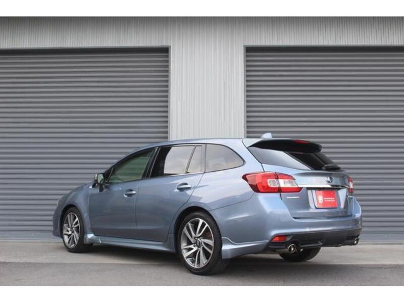 LEVORG