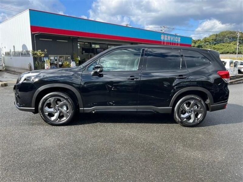 FORESTER
