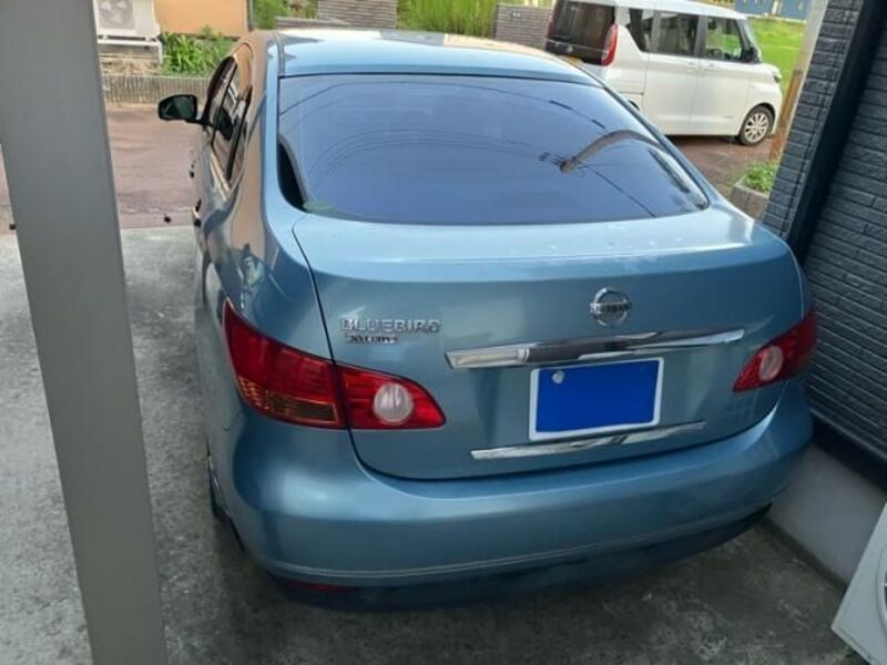 BLUEBIRD SYLPHY