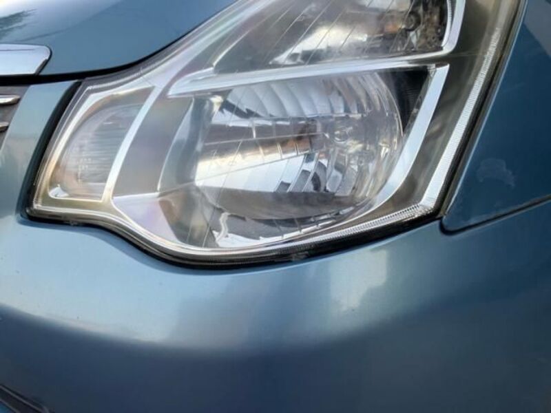 BLUEBIRD SYLPHY