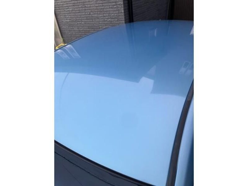 BLUEBIRD SYLPHY