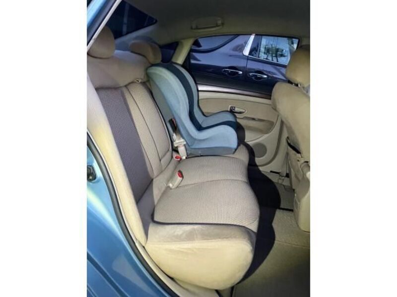 BLUEBIRD SYLPHY