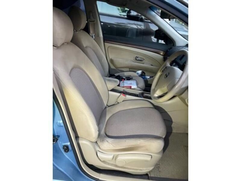 BLUEBIRD SYLPHY
