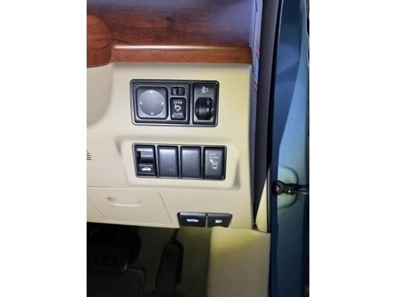 BLUEBIRD SYLPHY