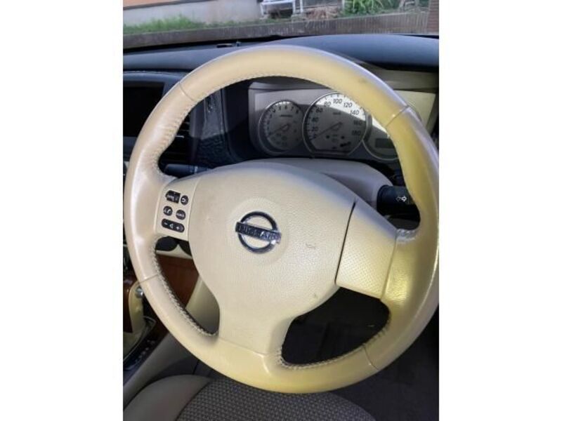 BLUEBIRD SYLPHY