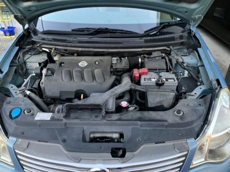 BLUEBIRD SYLPHY