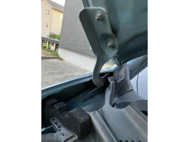 BLUEBIRD SYLPHY