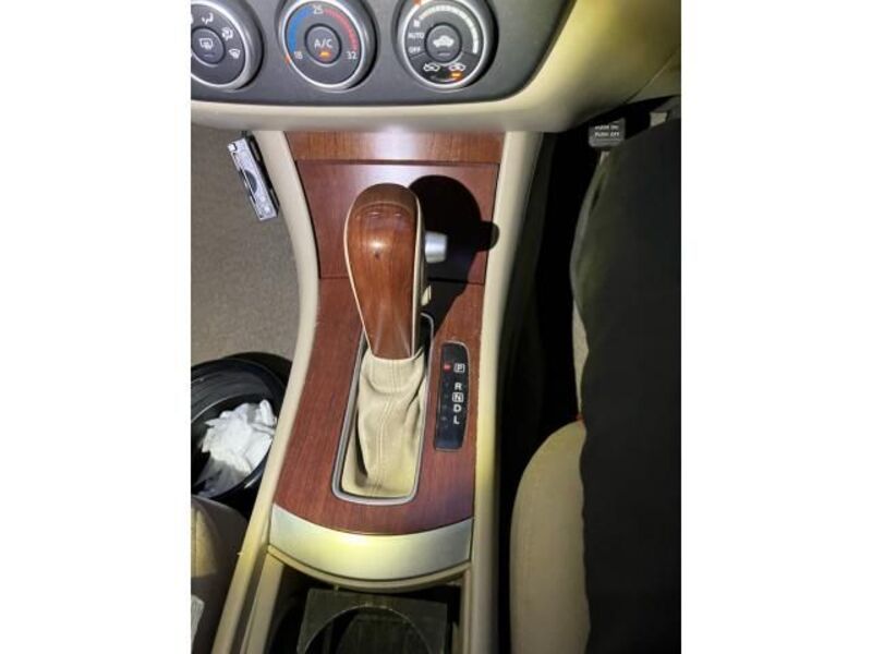 BLUEBIRD SYLPHY