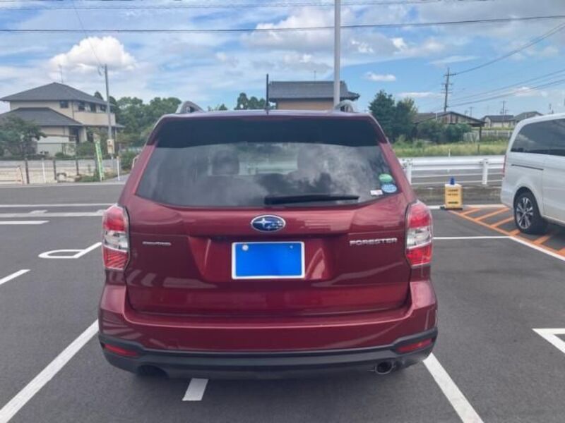 FORESTER