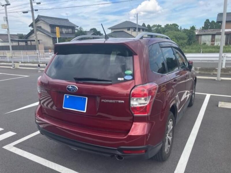 FORESTER