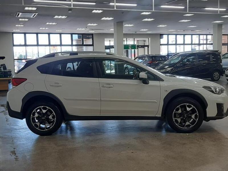 XV